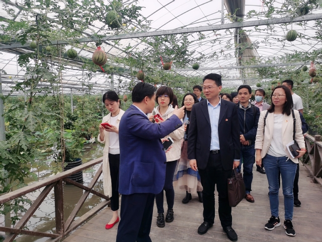 分享交流会后,在何文辉的带领下,成员实地参观太和水公司金山枫泾基地