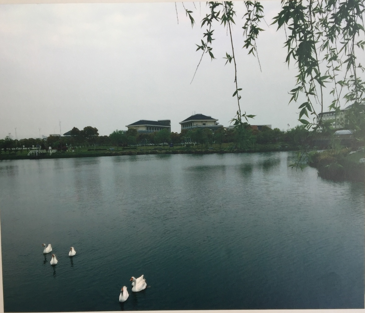 俞渊 摄影作品《风清气正》